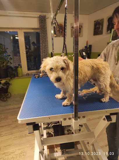 Hundesalon "Natürlich schön" - Tierhandlung in Dortmund