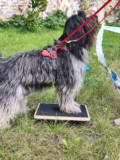 Nicole's Hundeservice - Tierhandlung in Dortmund