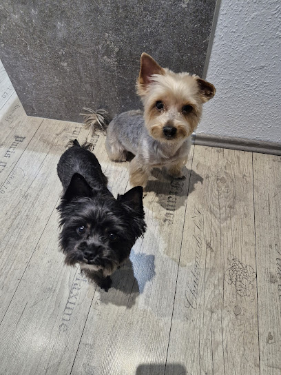 Chico Bello Hundesalon