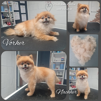 Jeanette's Hundesalon mit Herz - Tierhandlung in Dortmund