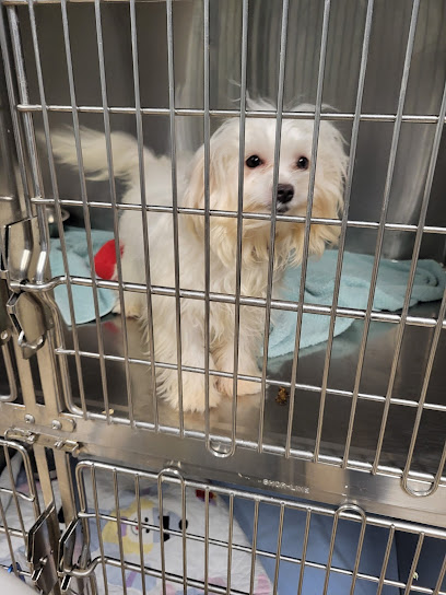 Humane Society of Tulsa