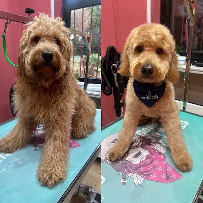 Trimm-Team by Irina Kuss Hundesalon - Tierhandlung in Dortmund