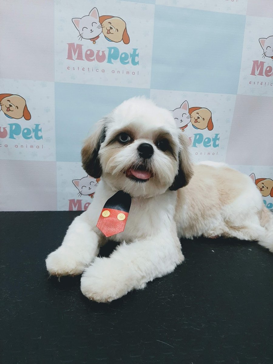 M&M's Estética Animal