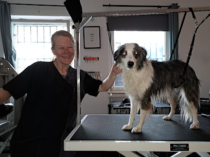 Hundesalon Alexandra Hüßelbeck