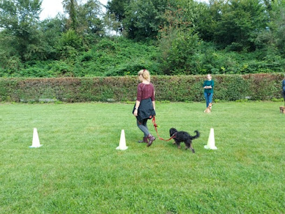 Tako Bello - Rund um den Hund