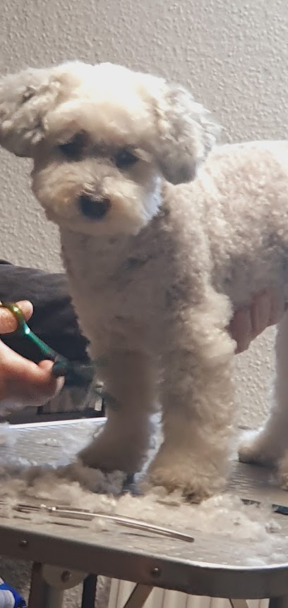 Hundewohl - Tierhandlung in Essen