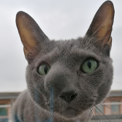 Tierarztpraxis in der Ruhrau / Frank Höfel