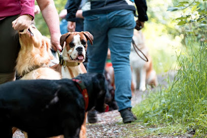 ProDogs Hundetraining - Tierhandlung in Essen