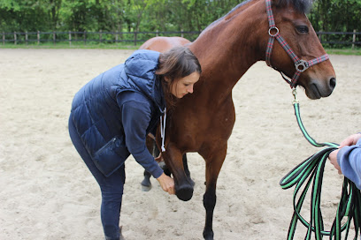 Luisa Paschke - Ganzheitliche Pferdetherapie - Tierhandlung in Essen