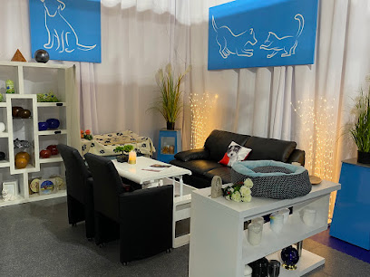 Pfötchenhimmel Tierbestattung