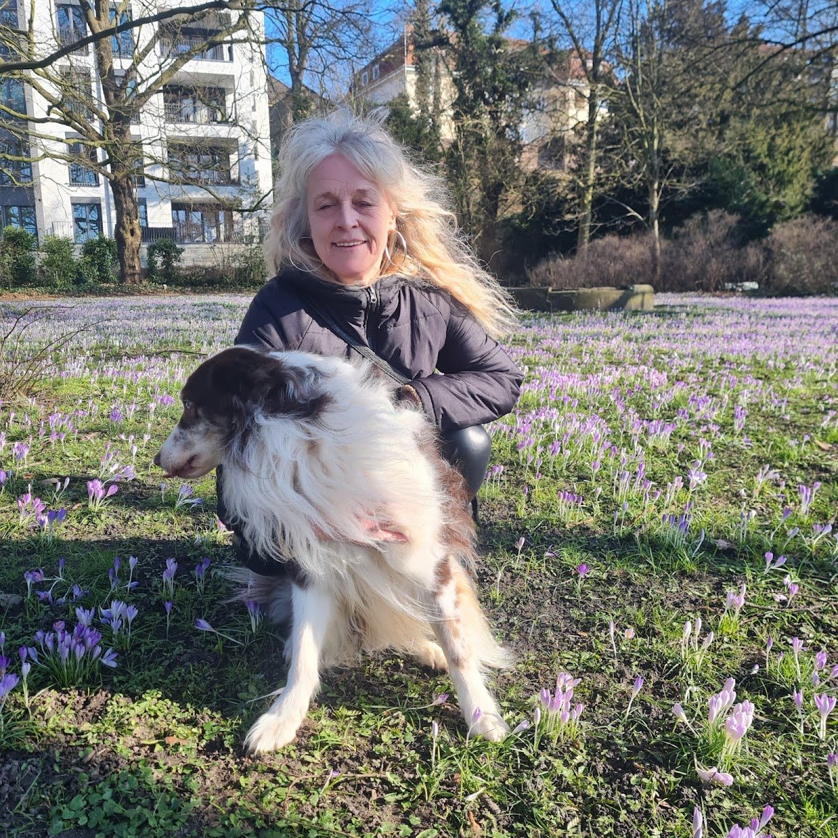 Hundeschule Schwanewede - Foto 2