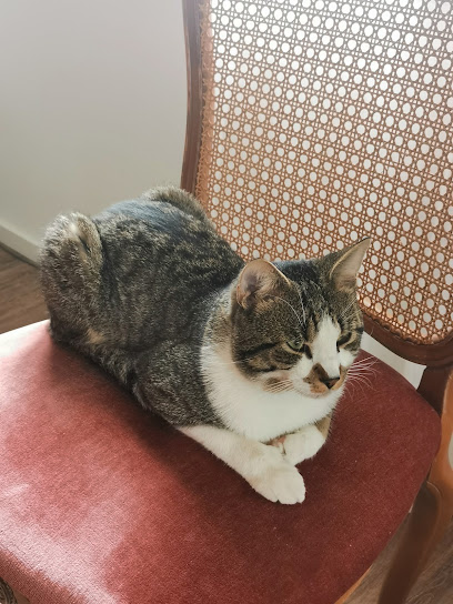 Dr. Andreas Seide Tierarzt