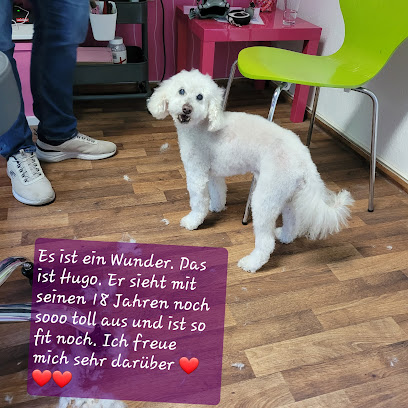 Hundesalon C. Wilhelm - Tierhandlung in Bremen