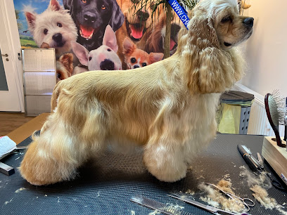 Hundesalon Pudelwohl - Tierhandlung in Bremen
