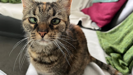 Annette Bley Tierärztin