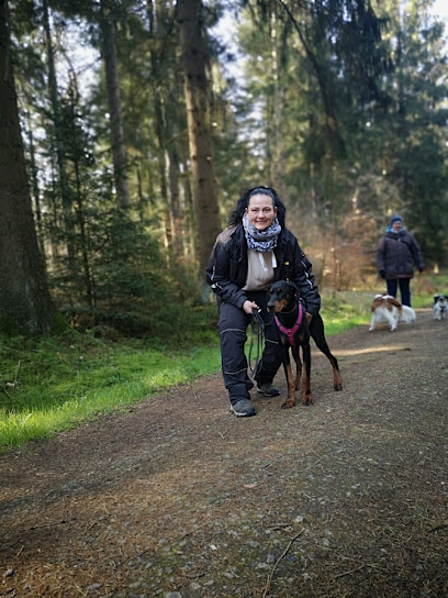 Hund'z Ehrlich - Tierhandlung in Bremen