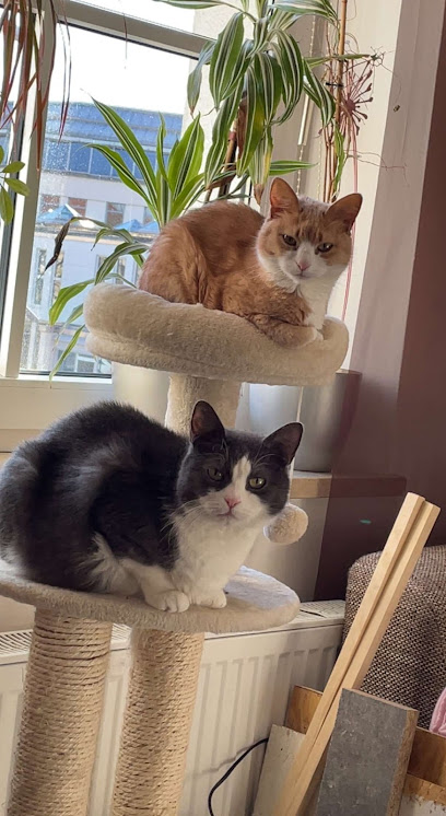 ARAG Versicherung Dresden