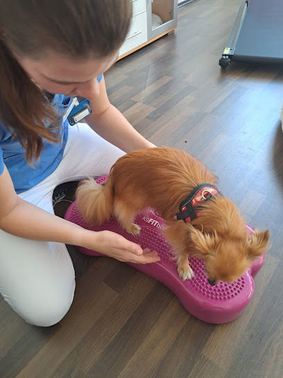 Tierphysiotherapie und Osteopathie Marie Säume