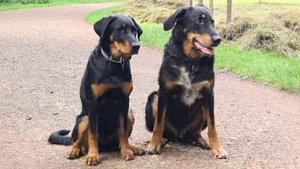 Hundeschule Dresden - Tierhandlung in Dresden
