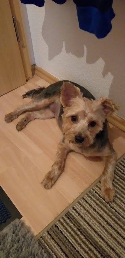 Katrin Mann Hundesalon