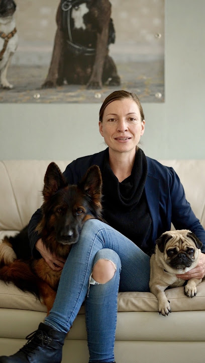 Hundereha Dresden Dr. med. Livia Kroker / Hundephysiotherapie - Osteopathie - Akupunktur - Tierhandlung in Dresden