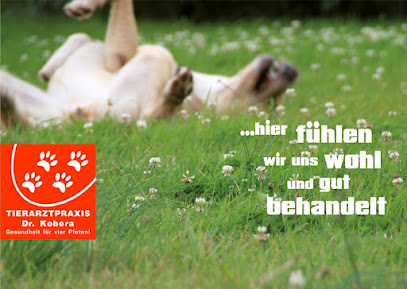 Tierarztpraxis Dr. med. vet. Ralph Kobera