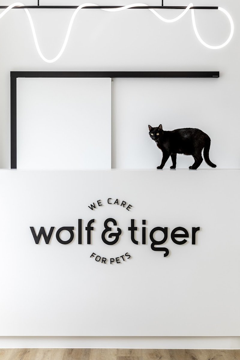Wolf & Tiger Tierarztpraxis Dresden am Goldenen Reiter - Foto 2