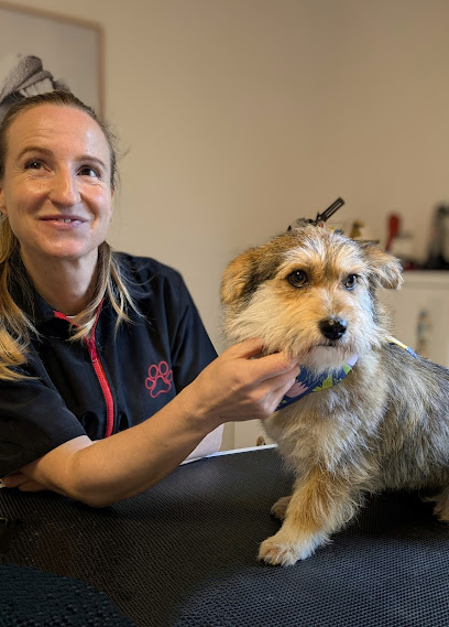Tierisch Stylisch - Dein Hundefriseur