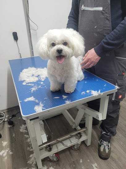 Hundesalon Fellpfötchen