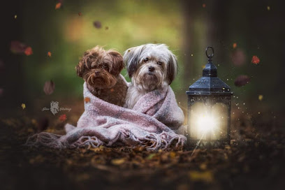 Tonon Fotodesign - Fotografie & Digital Artist