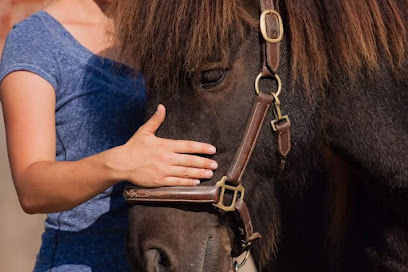 Pferdeosteopathie Calenberger Land