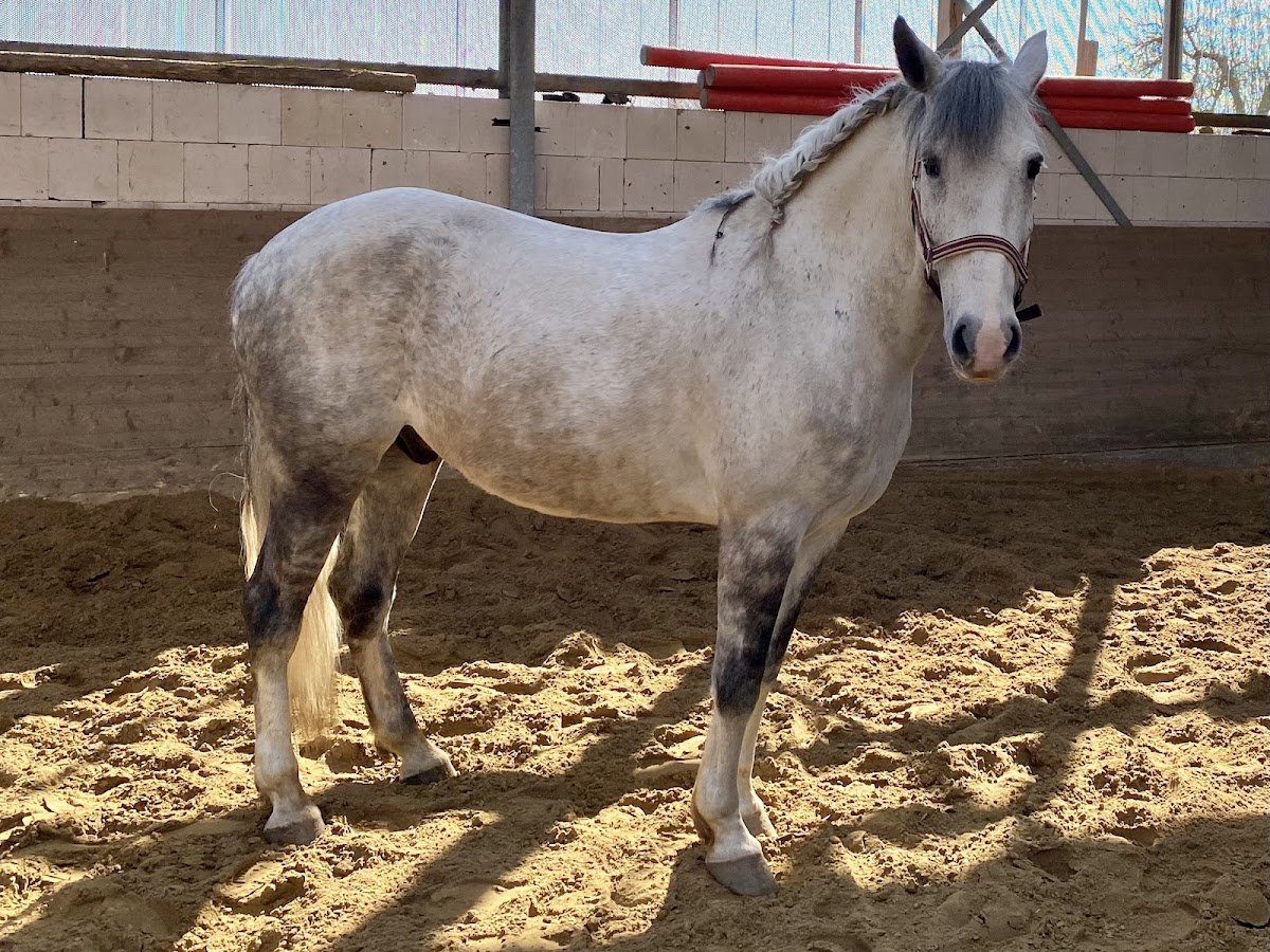 Rainbow Ranch Marion Plumhoff - Foto 2