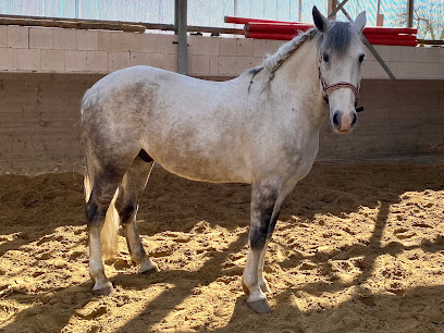 Rainbow Ranch Marion Plumhoff