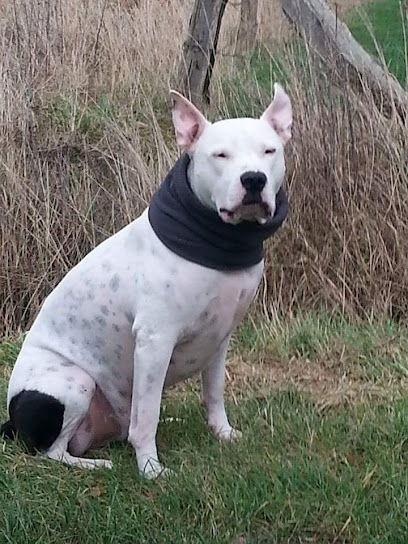 Kleintierpraxis Am Rotdorn