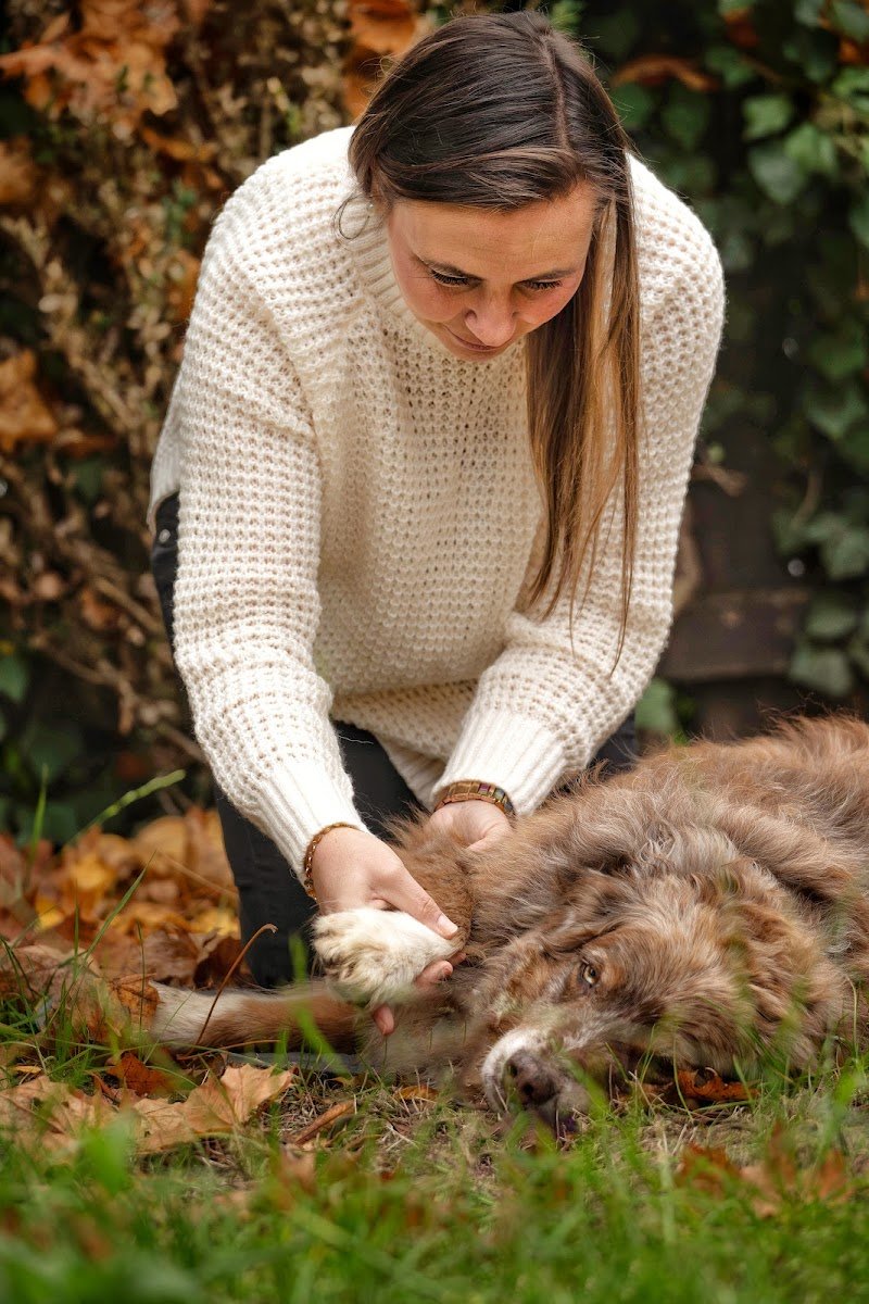Tierphysio- und Osteo PetsMotion - Foto 2
