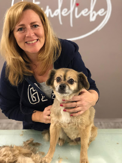 Hundeliebe Nürnberg