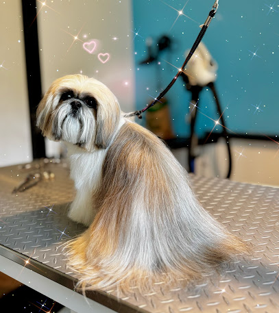 Hundesalon Vier-Pfoten-Freunde Nürnberg