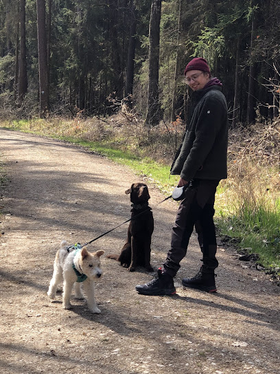 Max Hehr - Hundetraining u. Ernährung