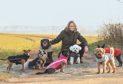 Rudelnasen Nürnberg