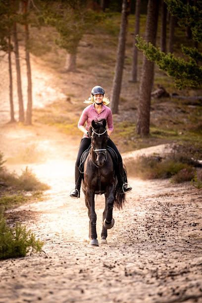 Melanie Vogt Tierheilpraktikerin