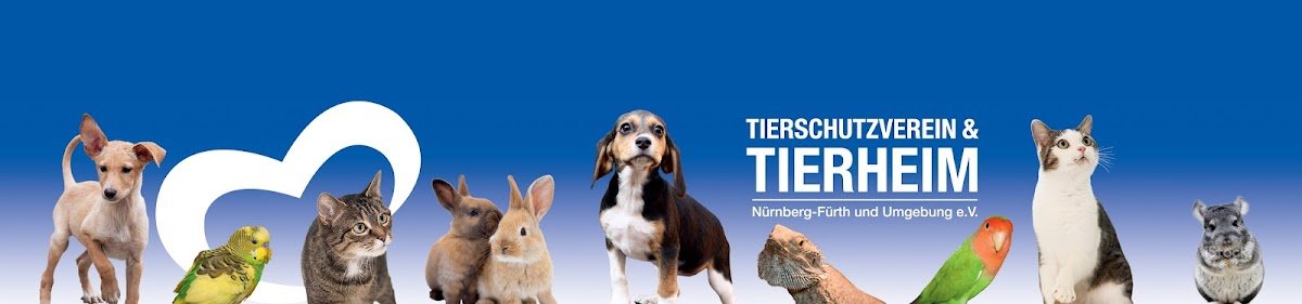 Tierheim Nürnberg - Foto 2