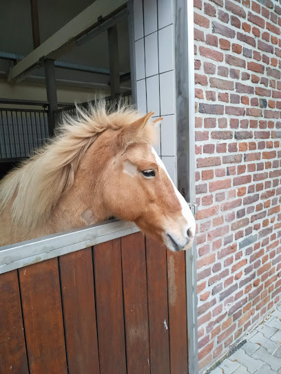 Pferdeklinik Duisburg GmbH