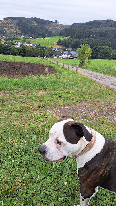 Tierschutzzentrum Duisburg e.V. - Städtisches Tierheim Duisburg