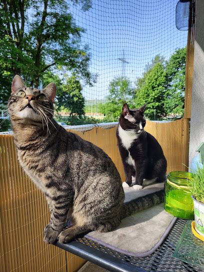 Tierarztpraxis am Rahmer Bach