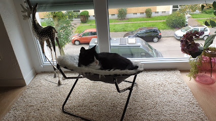 Kleintierpraxis Paul Kornat