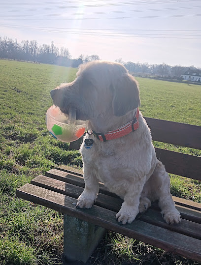 Jojos Fellparadies - Hundesalon / Hundefriseur