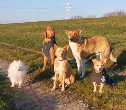 Hundetraining, Hundebetreuung & Verhaltenstherapie - Svenja Arndts - dog's emotions-