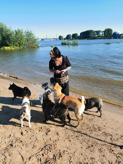 Dogsitter-Duisburg
