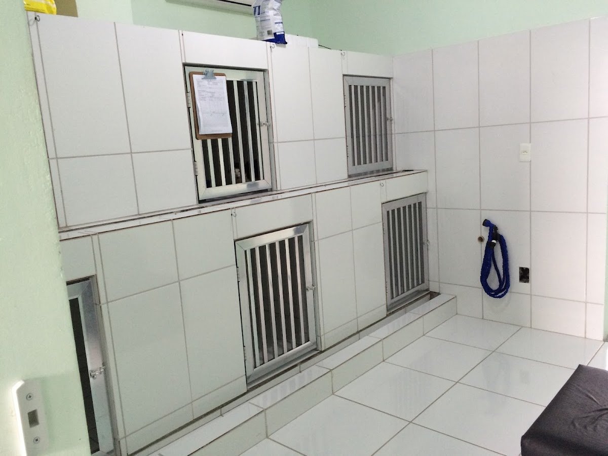 Centro Veterinario Bittencourt Zickwolf