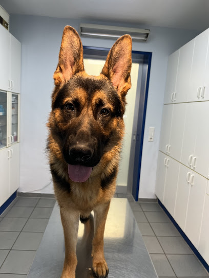 Tierarztpraxis Am Bessemer-Park